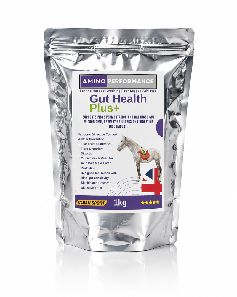 Amino Performance Gut Health Plus acid-buffering and probiotic support for horses