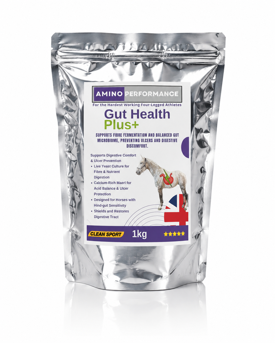 Gut Health Plus+ for Horses