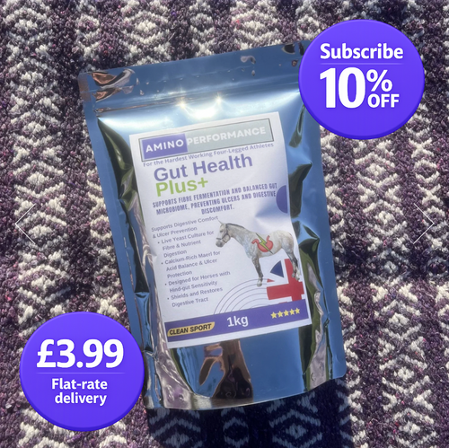 Gut Health Plus+ for Horses