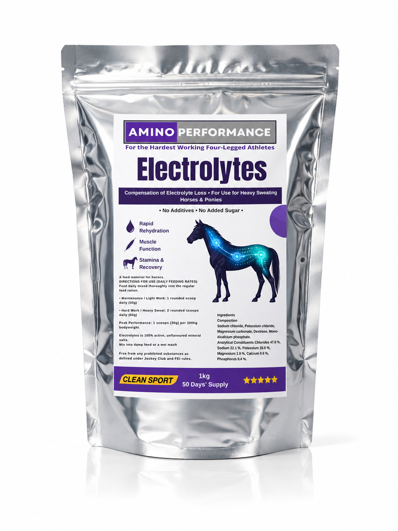 Amino Performance electrolytes for horses in work