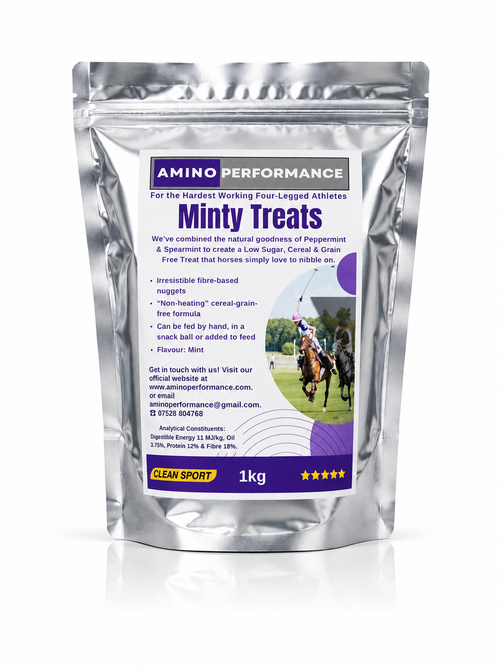 Aminoperformance Minty Horse Treats 1kg low sugar, cereal-free and grain-free treats for horses